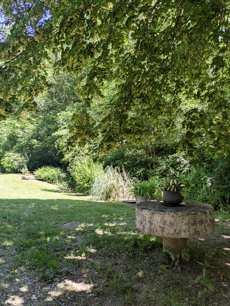 Arbres et ombrages